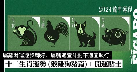 2024 年龍年|2024龍年運程｜十二生肖運勢預測 (屬猴、雞、狗、豬 